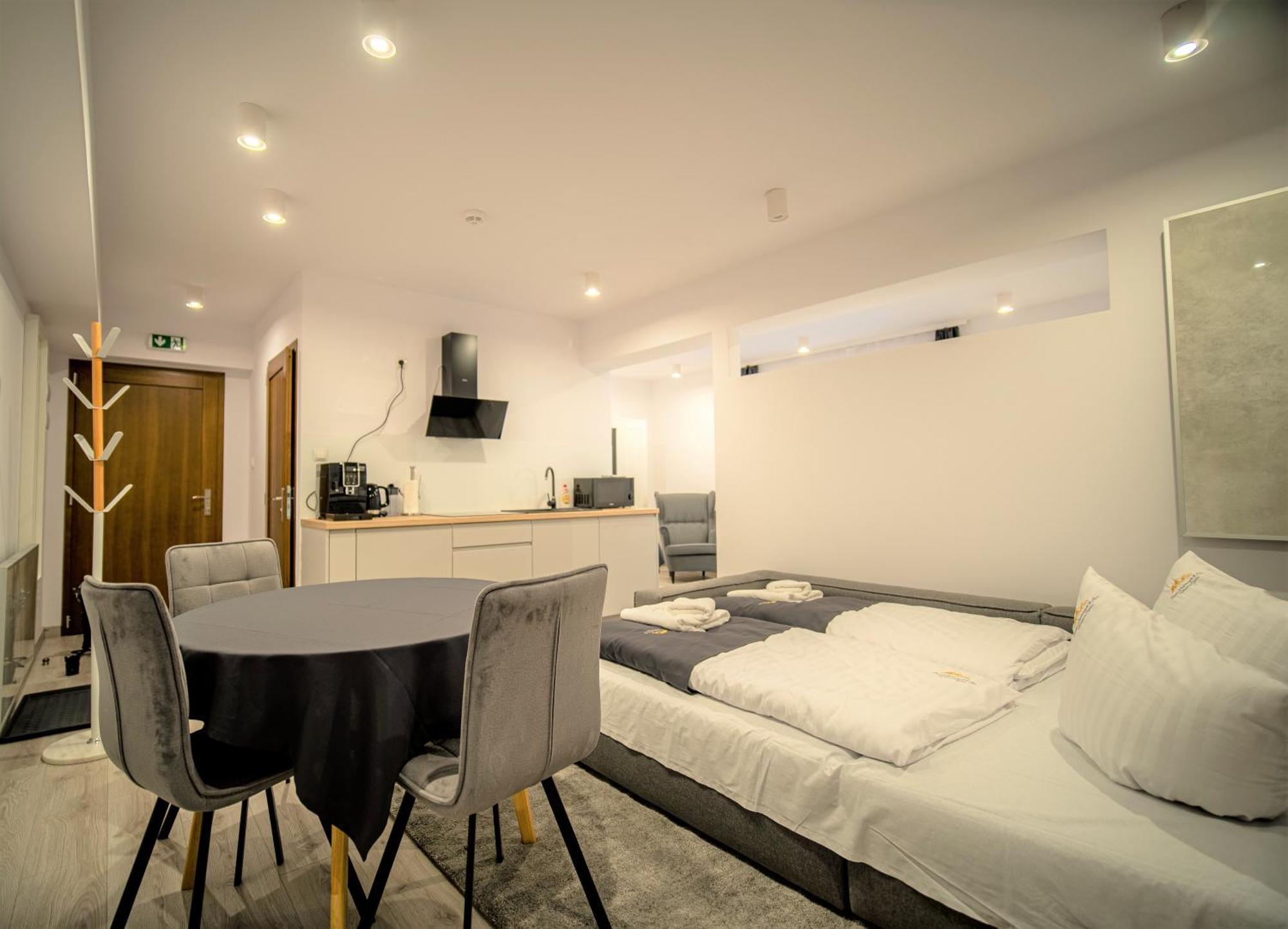 Royal Apartments & Spa Zakopane-Cyrhla 部屋 写真