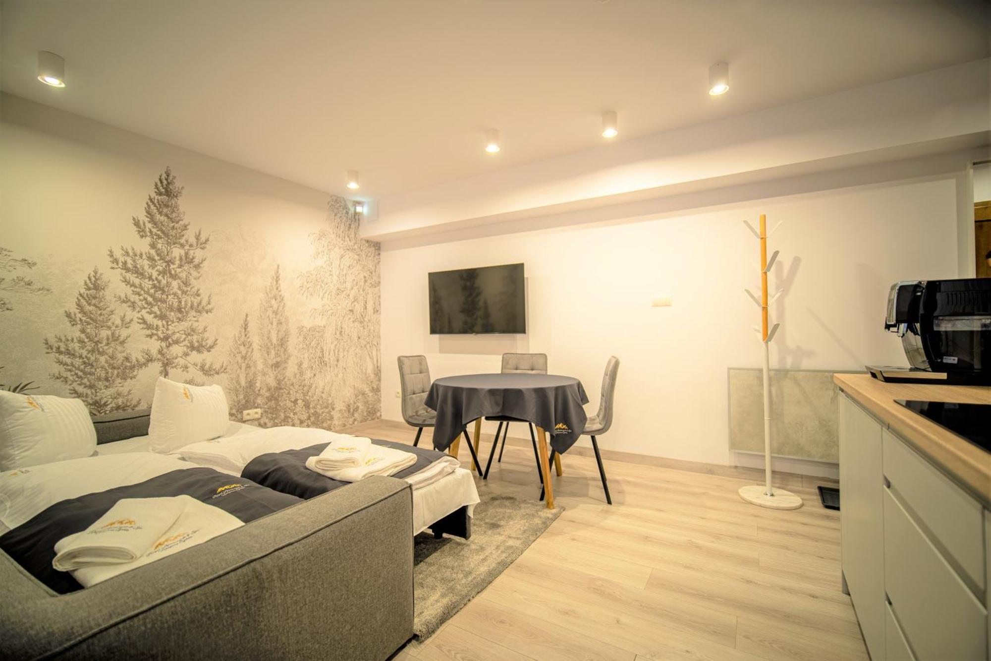 Royal Apartments & Spa Zakopane-Cyrhla 部屋 写真